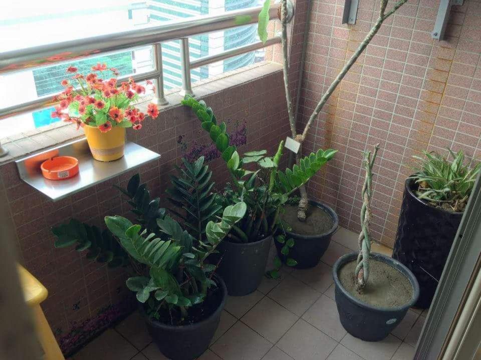 Apartamento Jia Jia House Kaohsiung Exterior foto